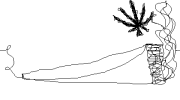 10755