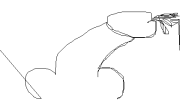 10769