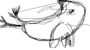 11020