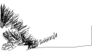 11819