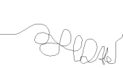 12081