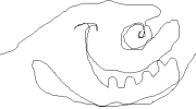 2905