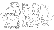 5411