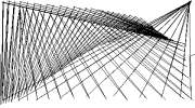 558