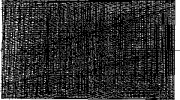 7502