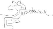 9961